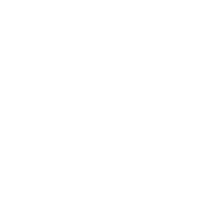 Whatsapp icon